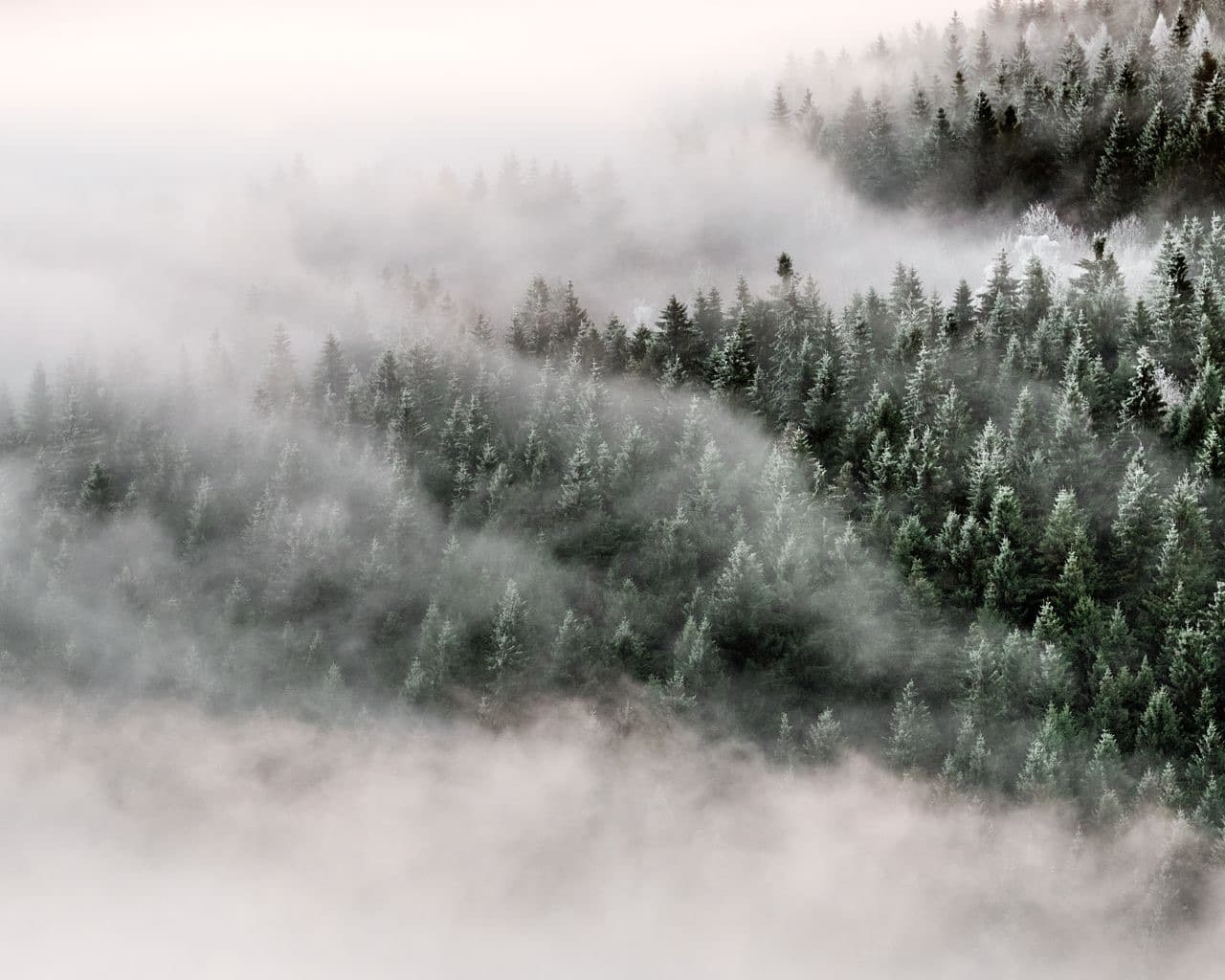 Beispielbild Kategorie Kreative Ansichten