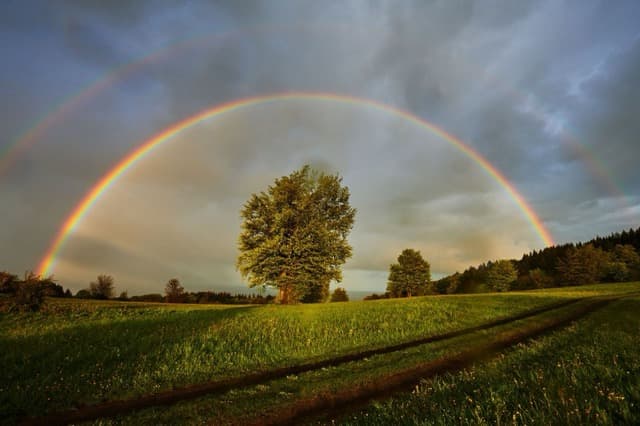 Beispielbild Kategorie Besondere Momente
